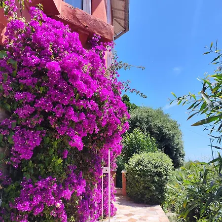Santa Margarita Bed & Breakfast Saint-Raphael (Var)