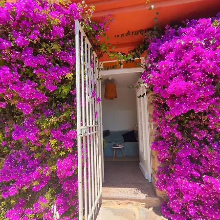 Santa Margarita *