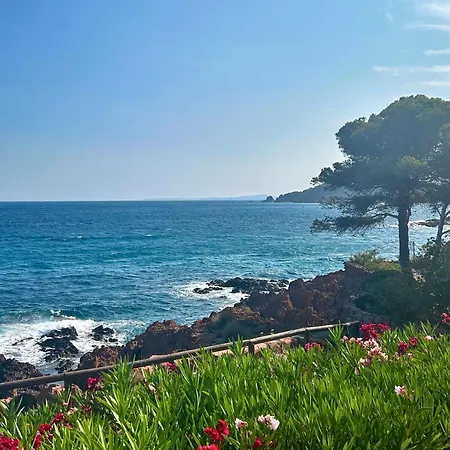 Santa Margarita Saint-Raphael (Var)