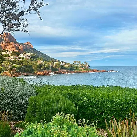 Santa Margarita *